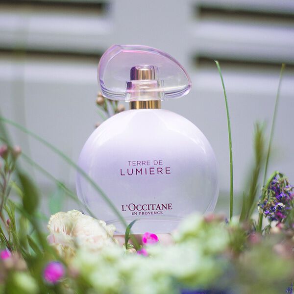 Terre de on sale lumiere perfume